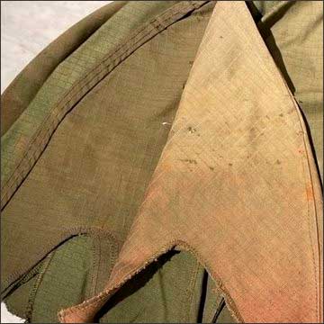 arg-funda-pulpo-verde-chavista