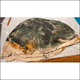 arg-funda-tosca-imara