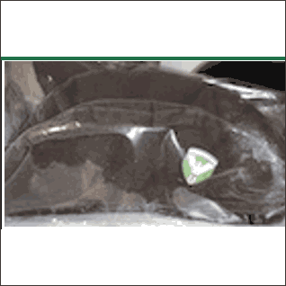 Captura-de-Pantalla-2021-03-21-a-las-19.23.02