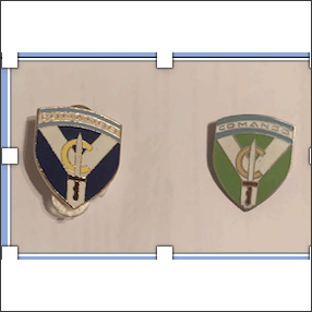 Captura-de-Pantalla-2021-03-30-a-las-00.29.29